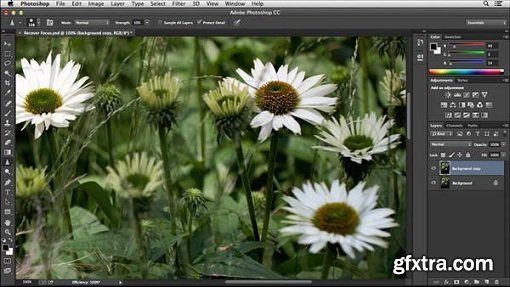 Noise Reduction and Sharpening in Lightroom and Photoshop