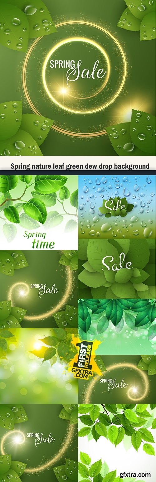 Spring nature leaf green dew drop background
