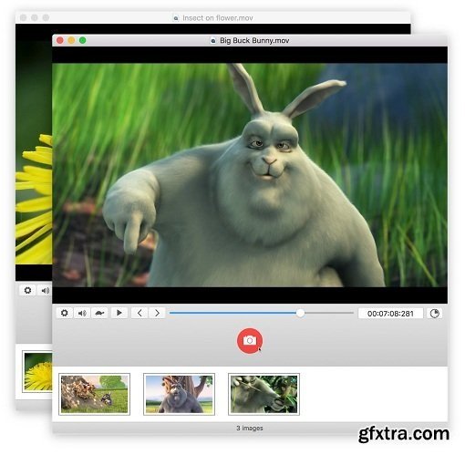 SnapMotion 3.1.4 (Mac OS X)