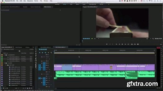 Faster, Fresher, More Exciting: Create Powerful Videos on Premiere Pro CC