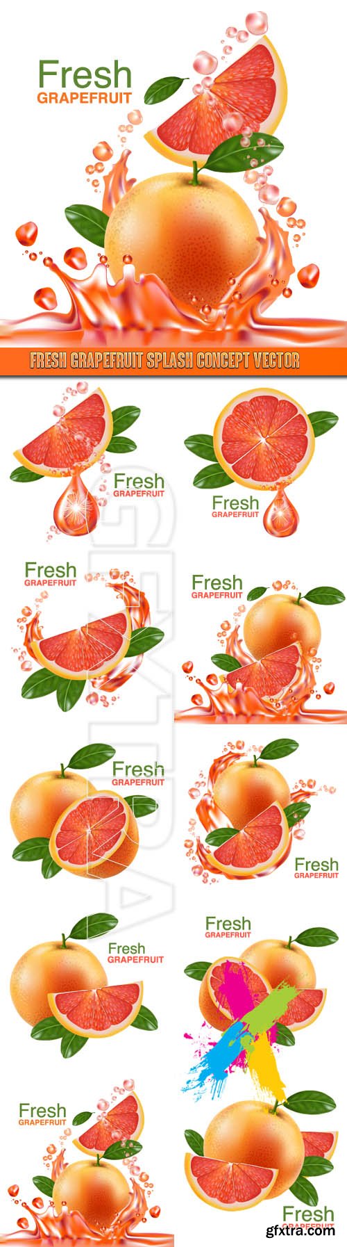 Fresh grapefruit splash concept vector