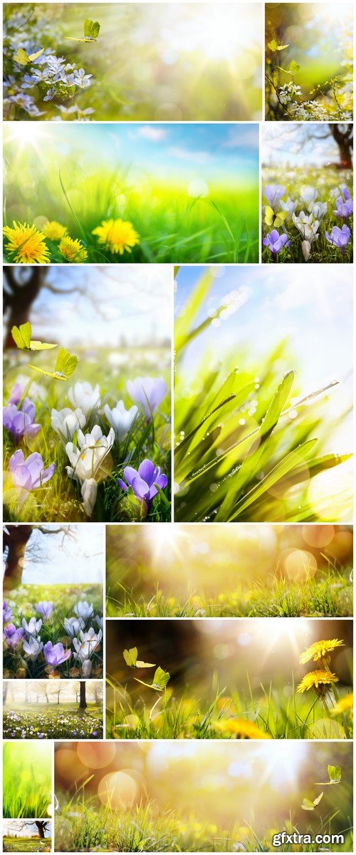 Easter spring flower background, yellow butterfly 13X JPEG