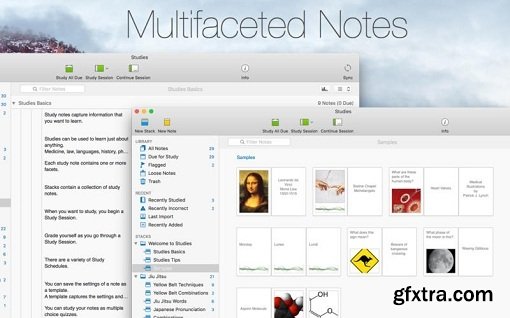 Studies – Flashcards for Serious Students 1.1.5 (Mac OS X)