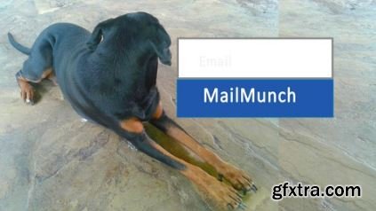 Capturing Leads with MailMunch on your website