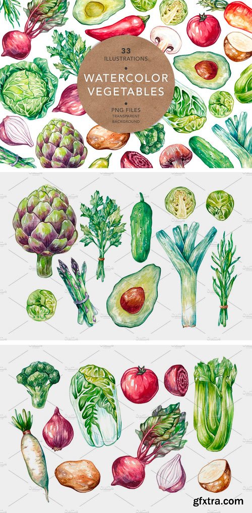 CM 1211224 - Watercolor Vegetables