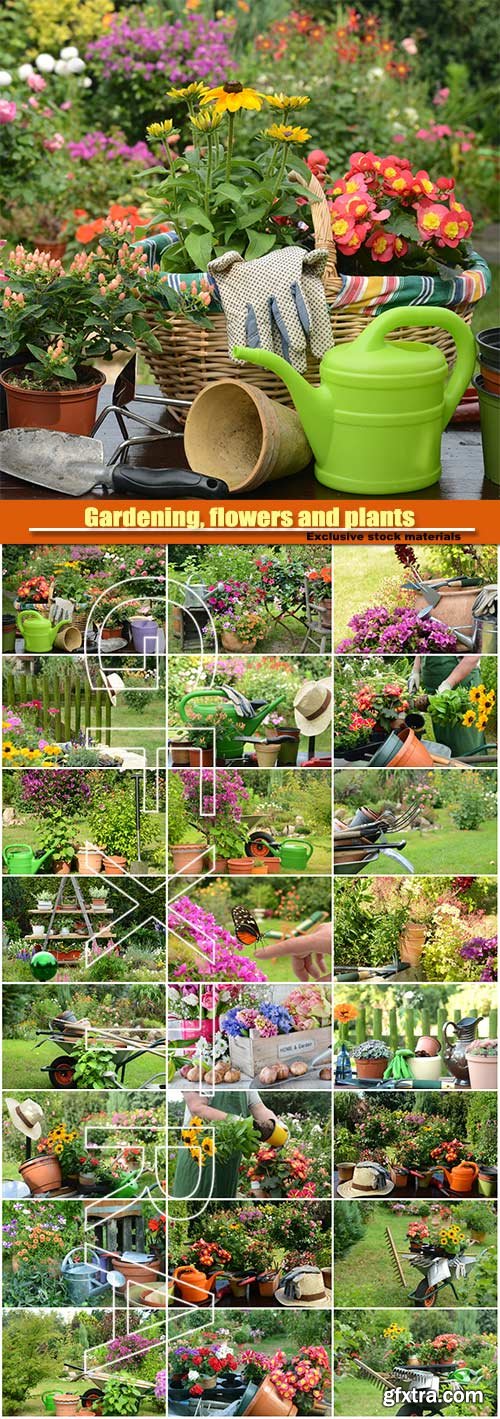 Gardening, flowers and plants