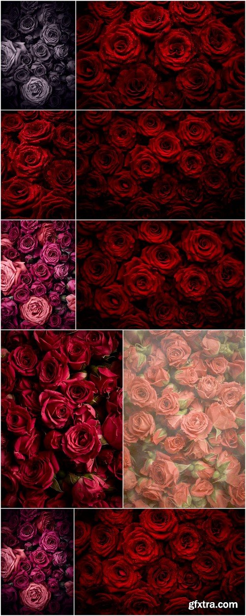 Beautiful roses background 10X JPEG