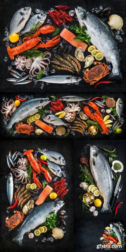Fresh Fish and Seafood