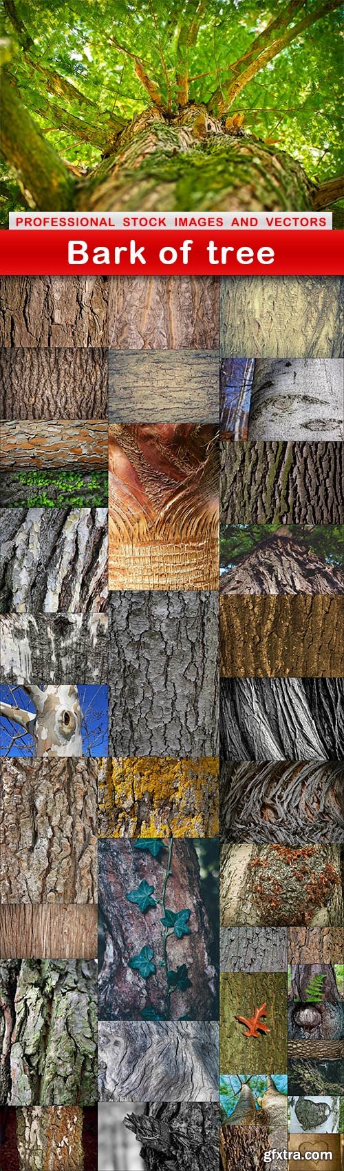 Bark of tree - 39 UHQ JPEG
