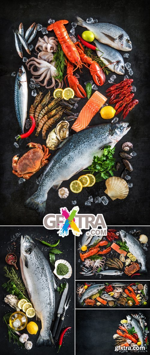 Stock Photo - Fish & Seafood