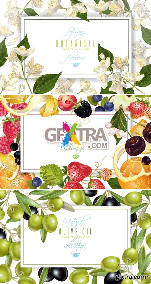 Banners with Fruits, Flowers & Olives Vector
