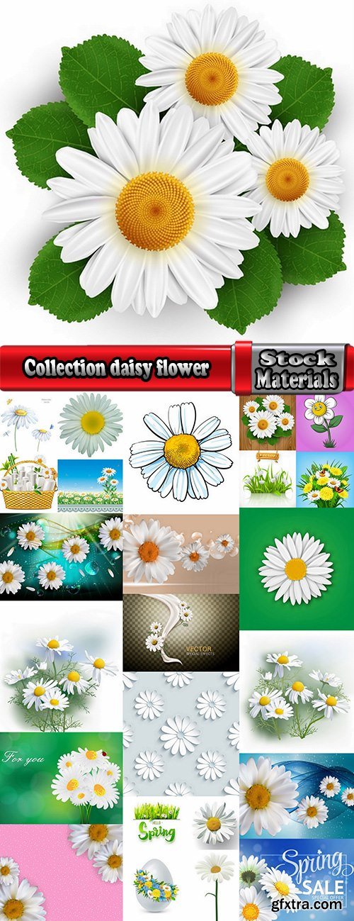 Collection daisy flower petal spring flyer banner frame background 25 EPS