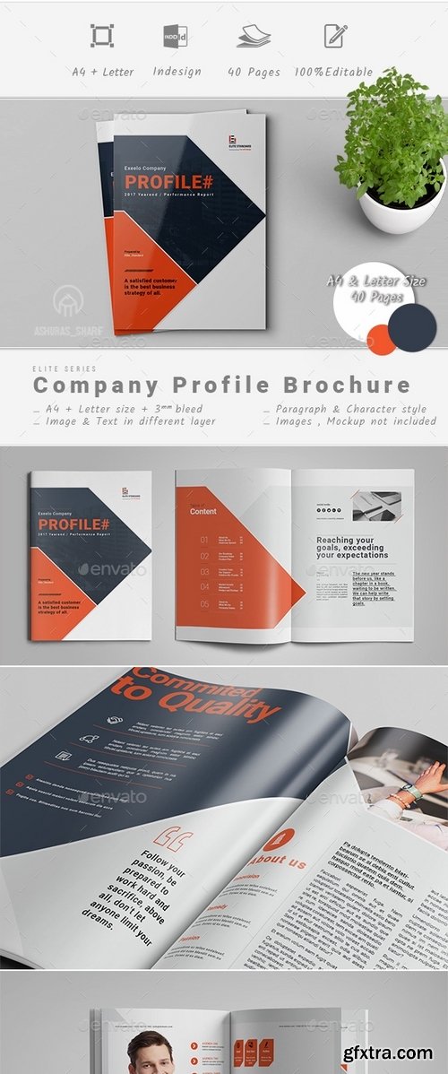GraphicRiver - Company Profile 19300562
