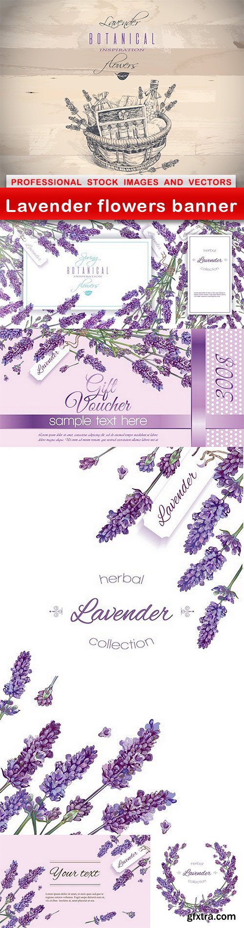 Lavender flowers banner - 7 EPS
