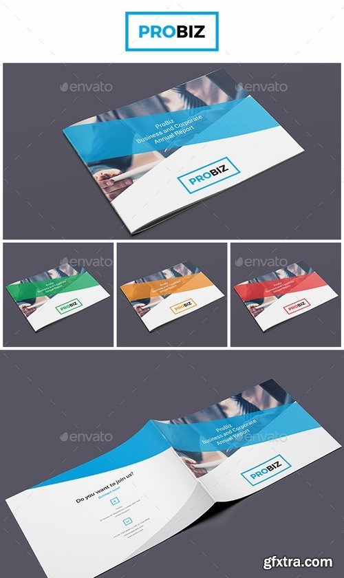 GraphicRiver - ProBiz – Business and Corporate Annual Report Horizontal 19428223
