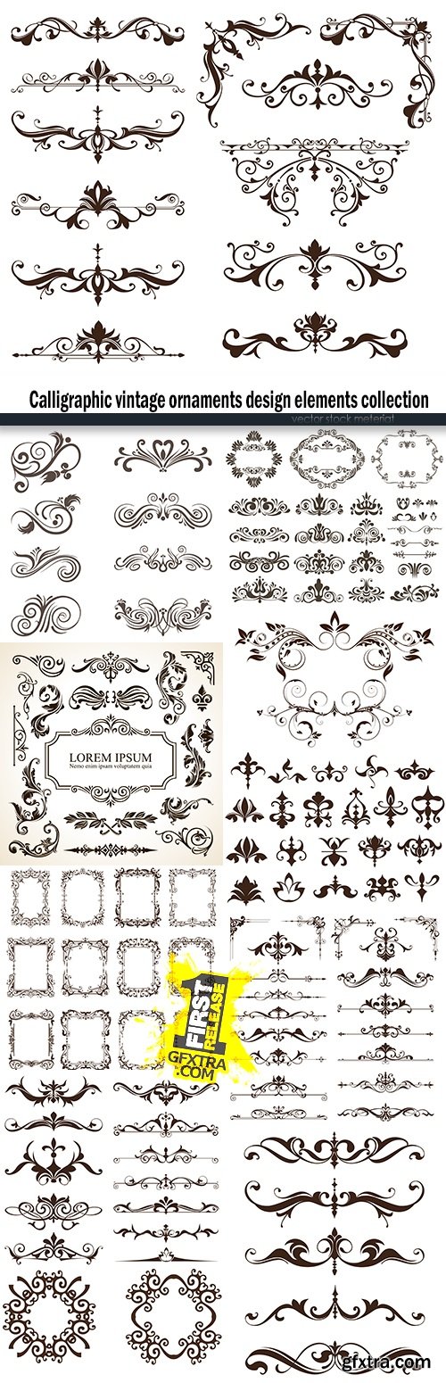 Calligraphic vintage ornaments design elements collection