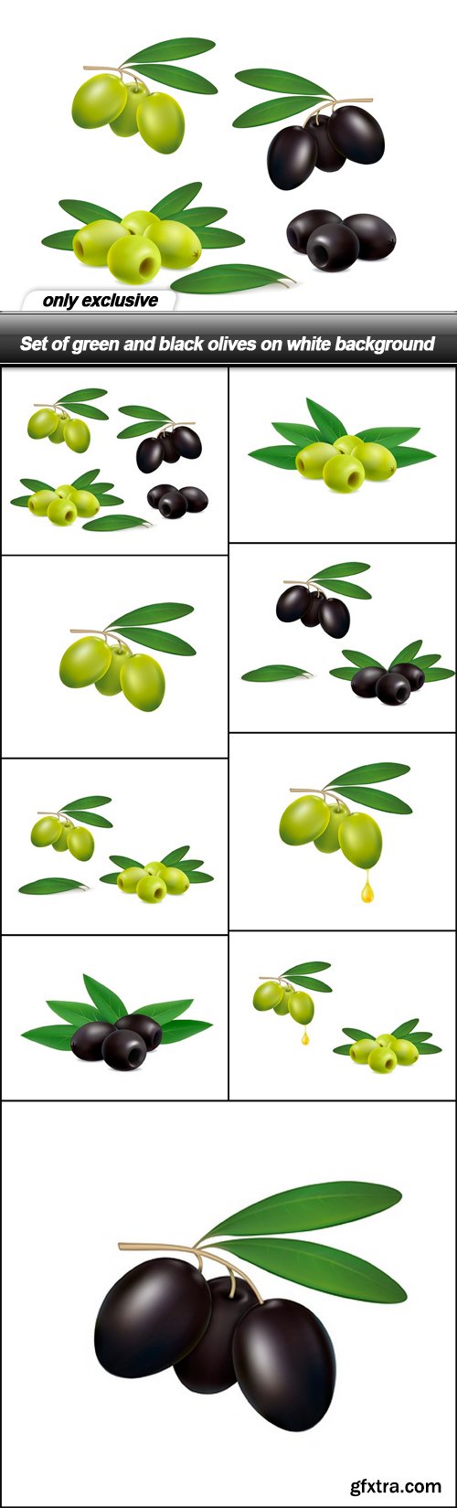 Set of green and black olives on white background - 9 EPS