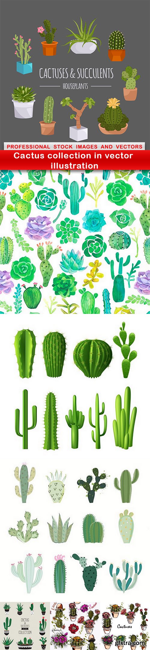 Cactus collection in vector illustration - 7 EPS