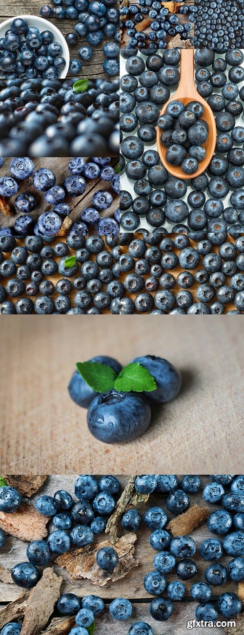 Close up shot of a fresh washed blueberries with a green leaf. Out of focus berries background. Superfood antioxidant berries