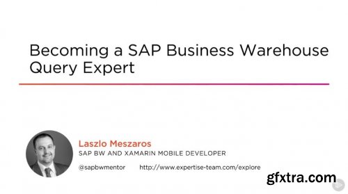 Becoming a SAP Business Warehouse Query Expert