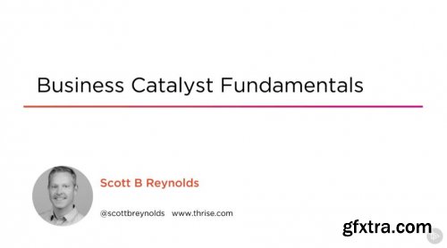Business Catalyst Fundamentals