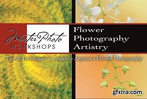 Flower Photography Artistry With Tony Sweet