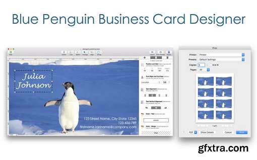 Blue Penguin Business Card Designer 2.62 (Mac OS X)