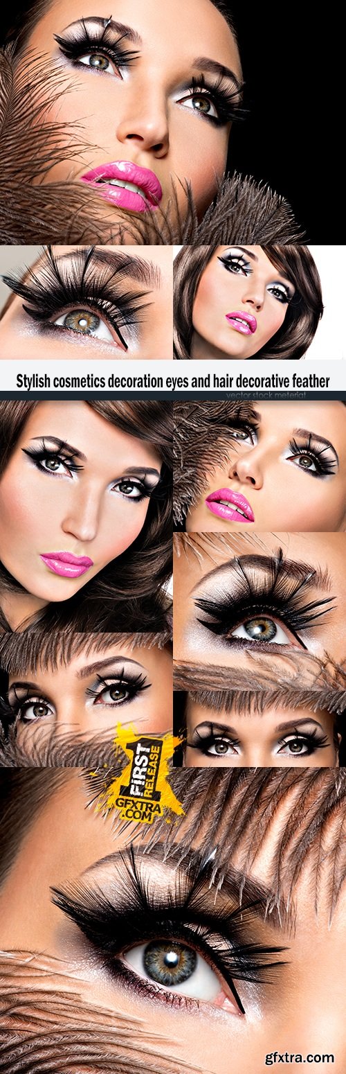 Stylish cosmetics decoration eyes and hair decorative feather