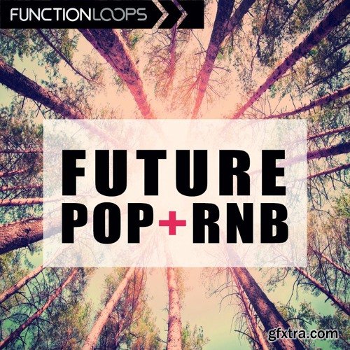 Function Loops Future Pop And RnB WAV MiDi-DISCOVER