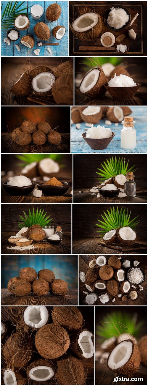 Coconuts 14X JPEG