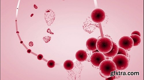 Red blood cells animation