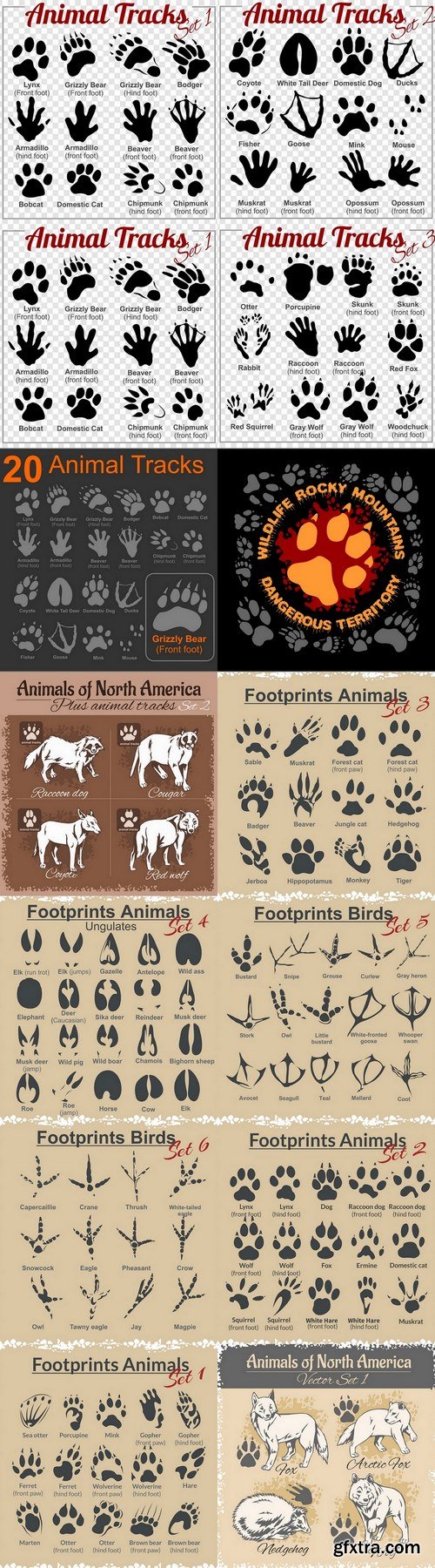 Animals and animal tracks, footprints 4