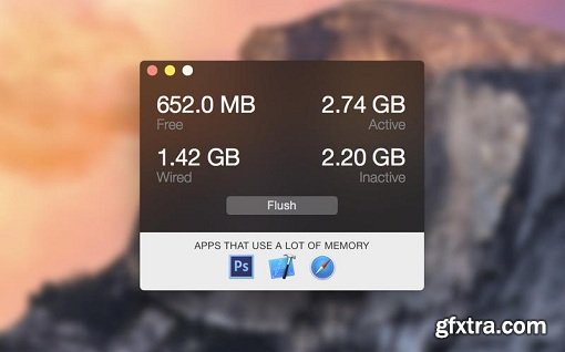 Flush Memory 2.1.1 (Mac OS X)