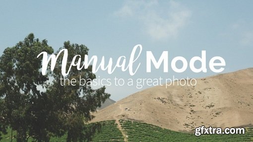 Manual Mode: The basics to a great photo