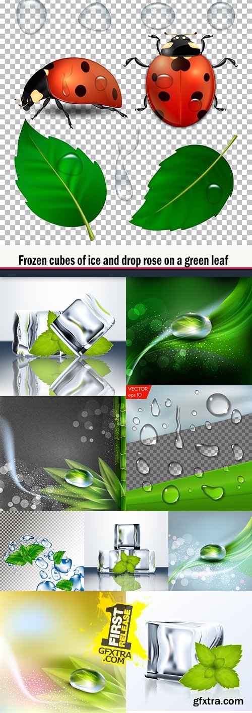Frozen cubes of ice and drop rose on a green leaf