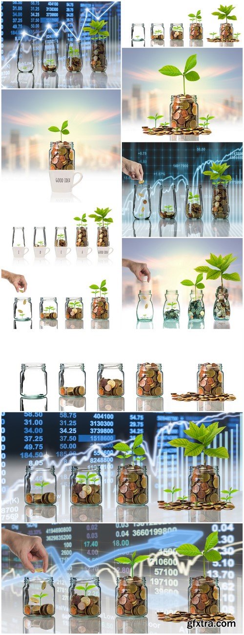 Business investment growth concept 11X JPEG