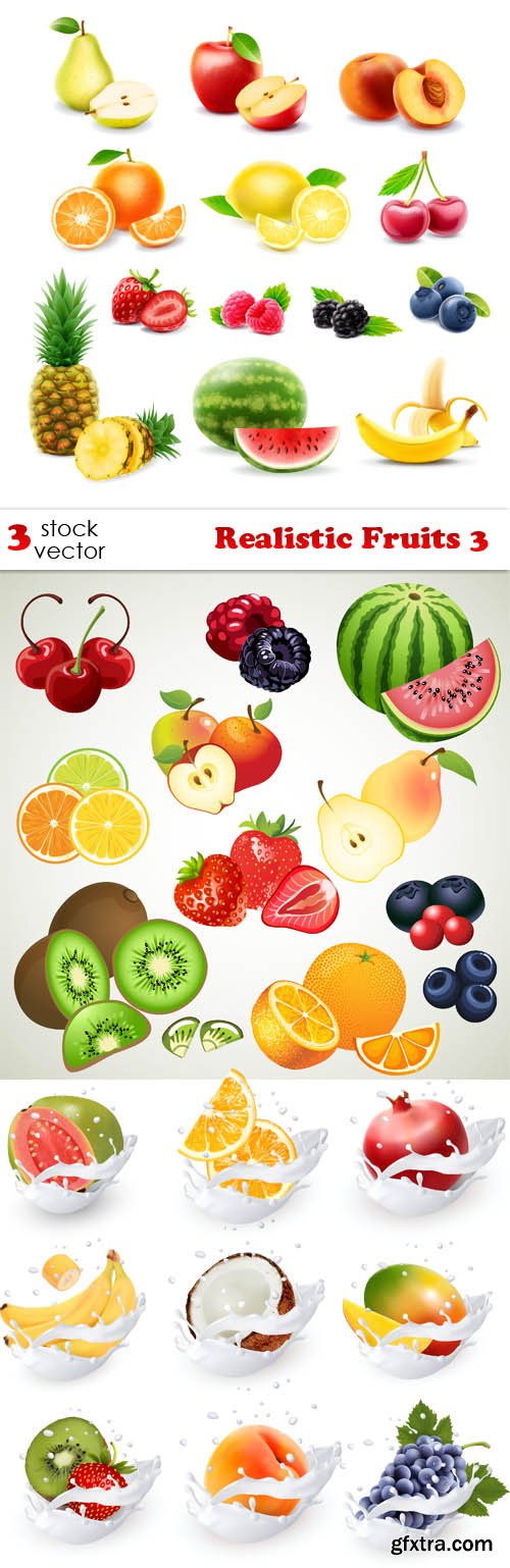 Vectors - Realistic Fruits 3