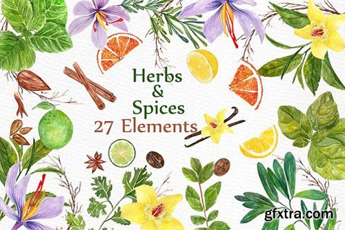 CM - watercolor Herbs and spices clipart 1397650