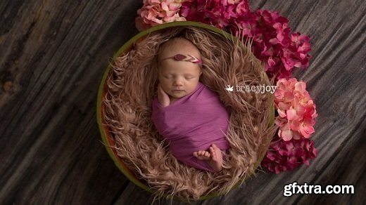 Newborn Photoshop & Lightroom Basics