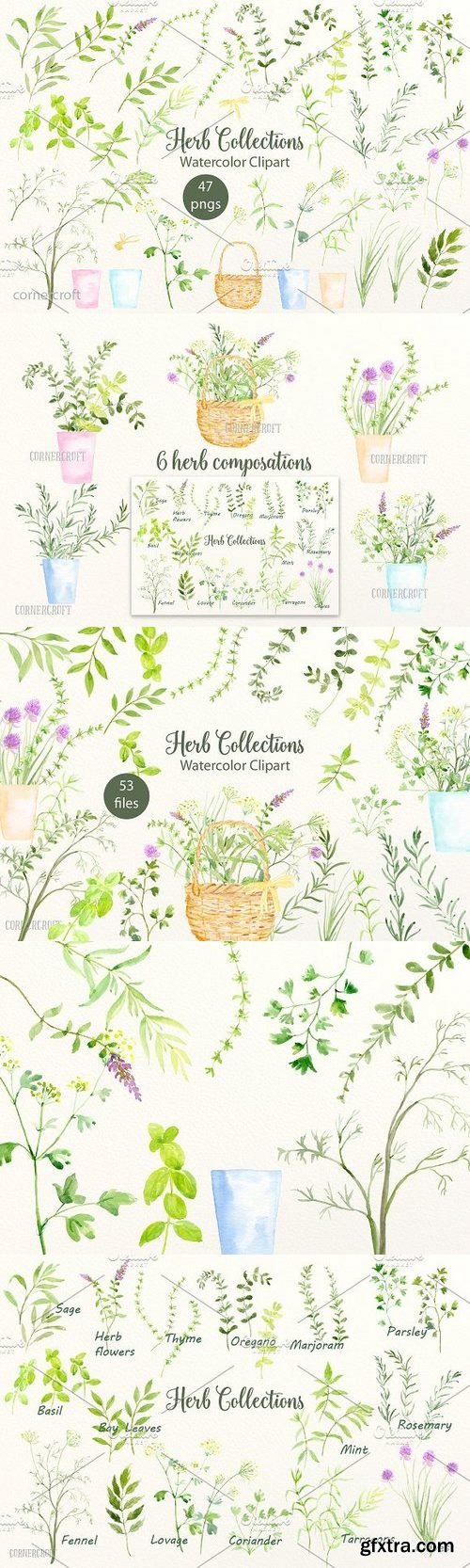 CM - Watercolor Herb Collection 855425