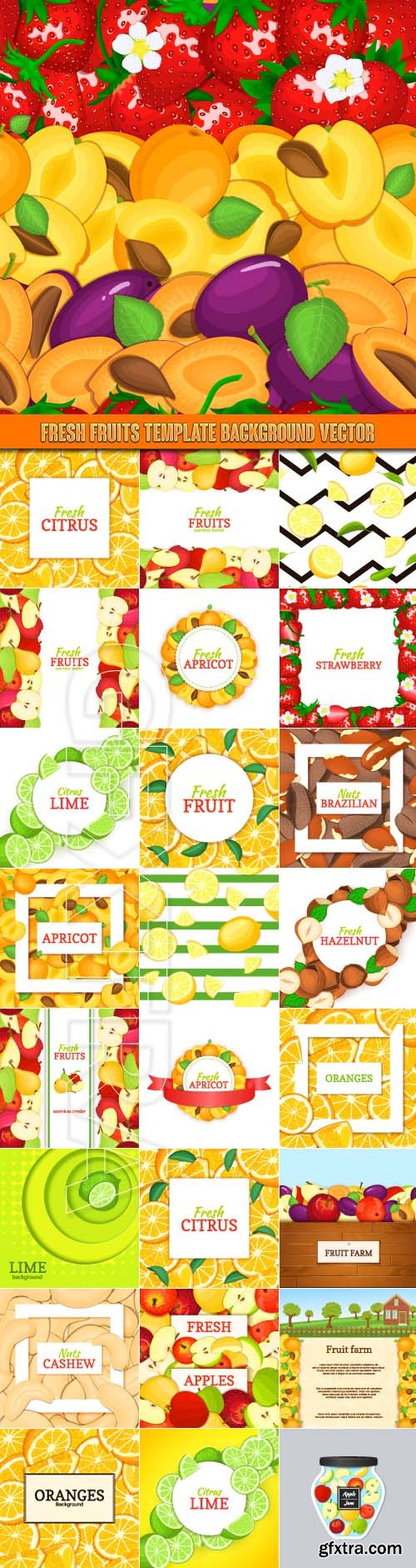 Fresh fruits template background vector