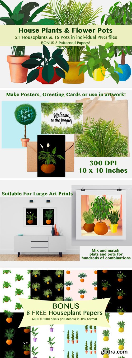 CM 1435034 - House Plants and Flower Pots + Bonus