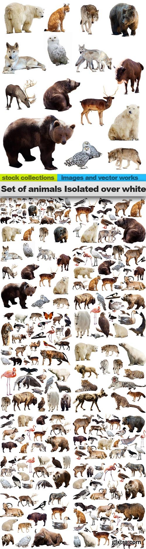 Set of animals Isolated over white, 15 x UHQ JPEG