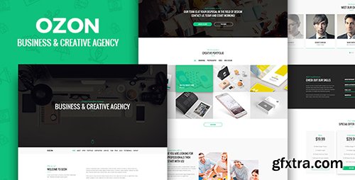 ThemeForest - Ozon – Business and Creative Agency PSD Temaplate 19896321