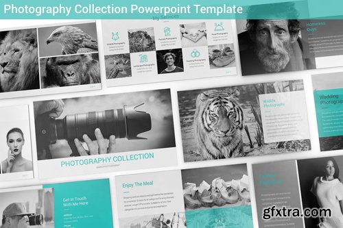 Photography Collection Powerpoint Template
