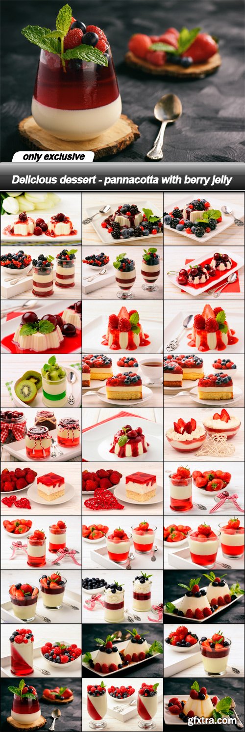 Delicious dessert - pannacotta with berry jelly - 30 UHQ JPEG