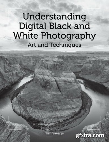 Understanding Digital Black and White Photography: Art and Techniques