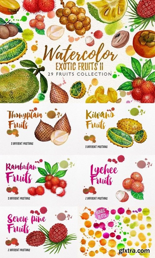 CM - watercolor fruit vol.7 1043271