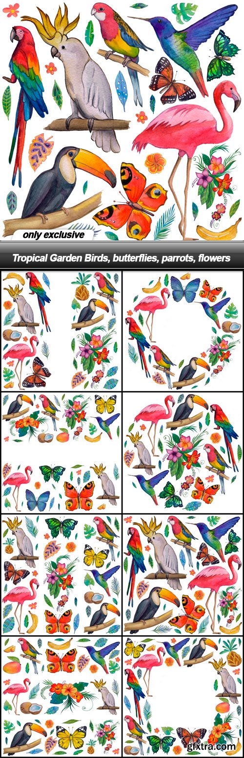 Tropical Garden Birds, butterflies, parrots, flowers - 8 UHQ JPEG