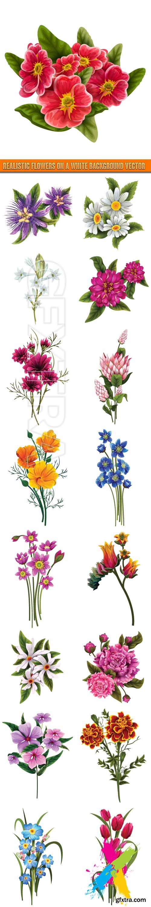 Realistic flowers on a white background vector